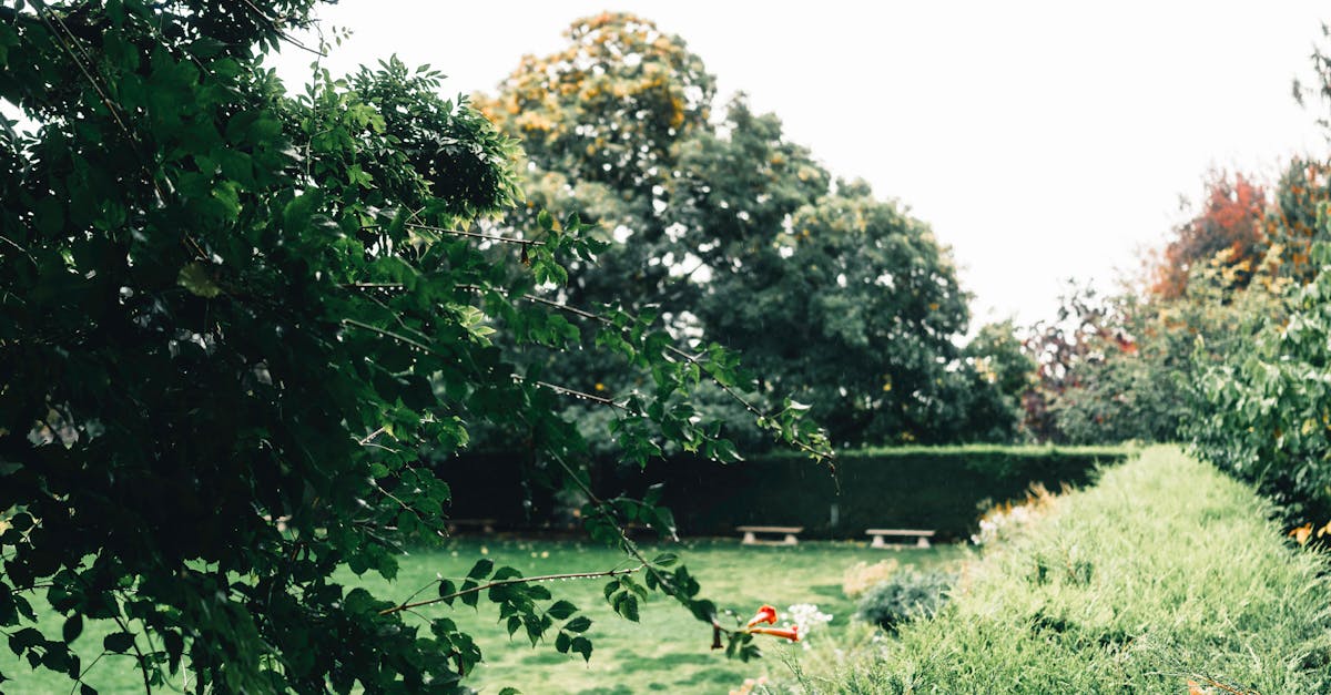 Best Practices for Composting in Victorian Gardens