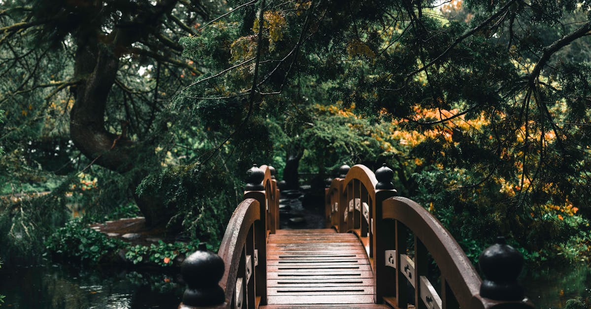 Best Practices for Creating Outdoor Fire Pits and Seating