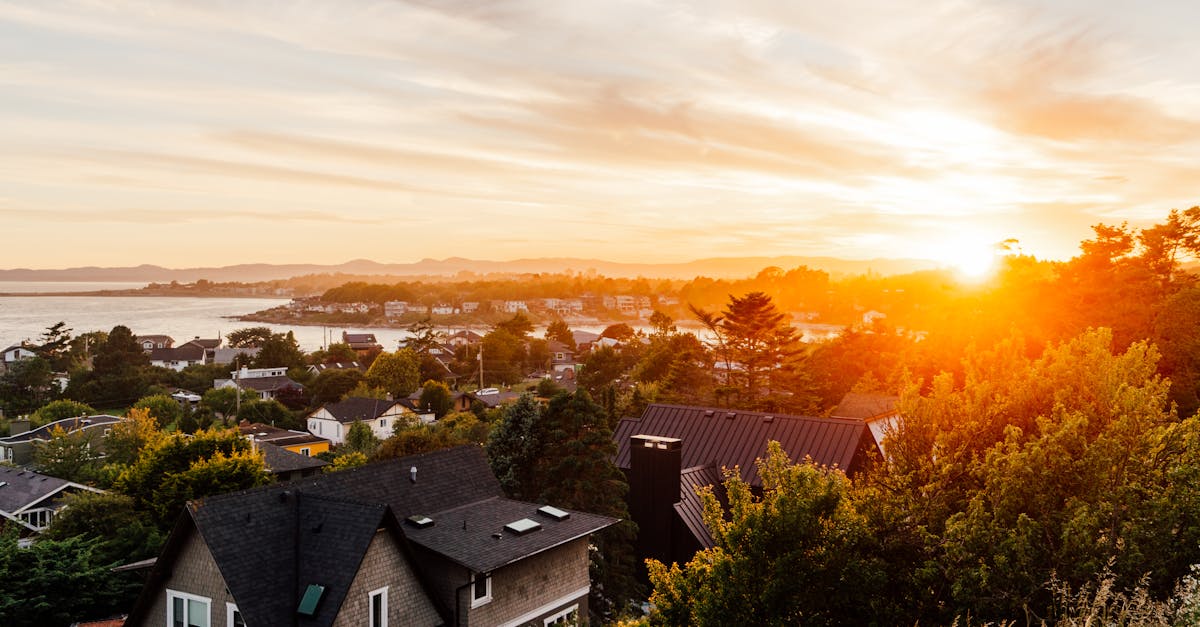 Choosing Seasonal Plants for Year-Round Interest