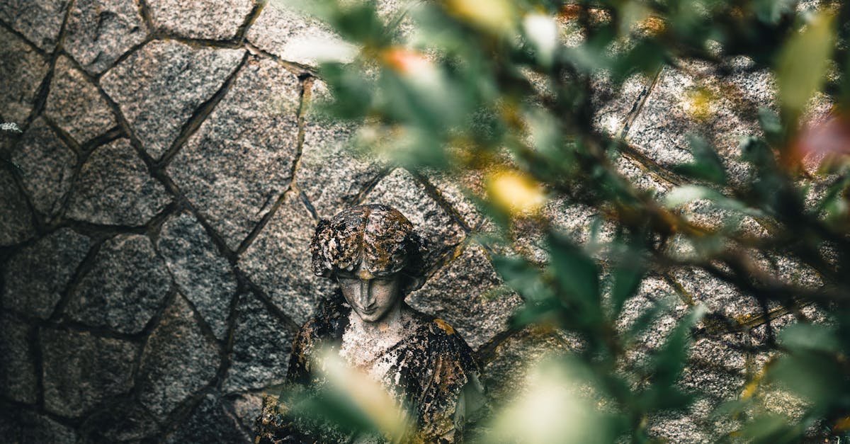 Crafting Elegant Outdoor Dining Spaces for Victoria Homeowners