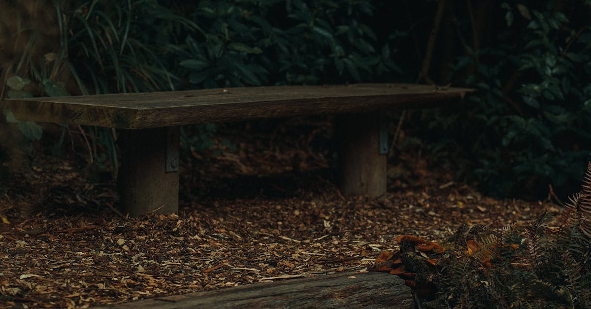 Creating a Drought-Resistant Garden in Victoria