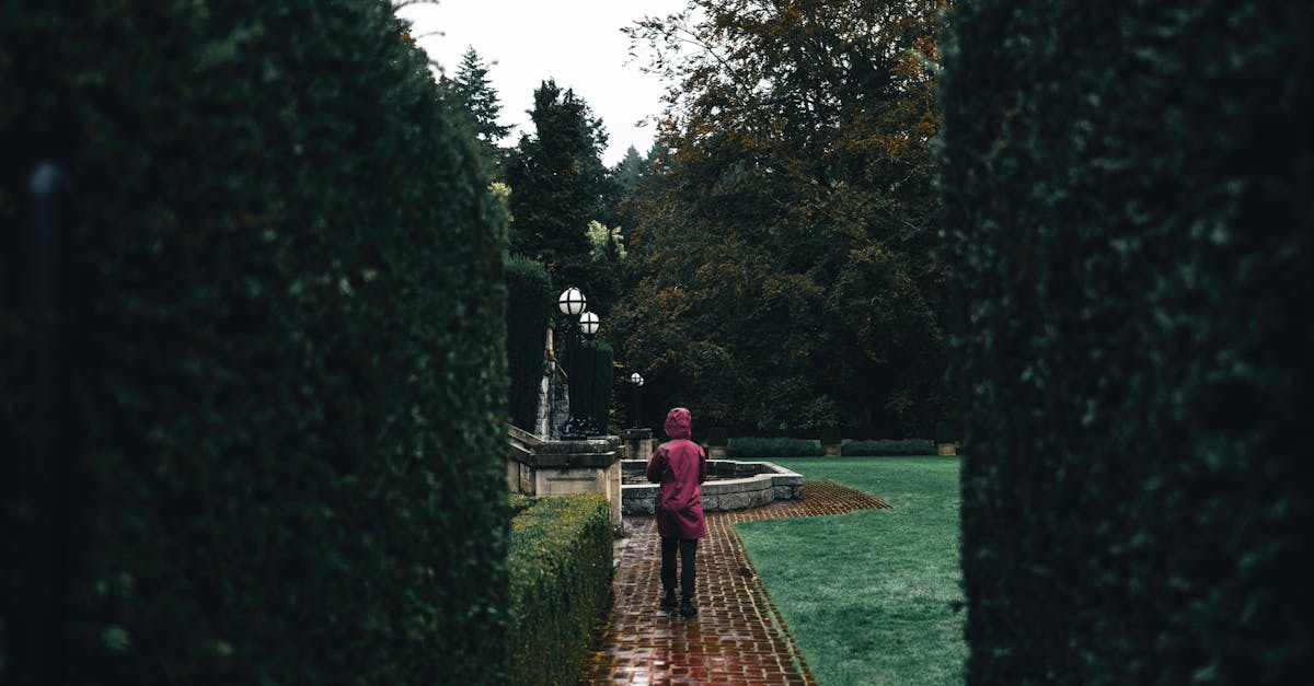 Designing for Family-Friendly Gardens: A Guide for Victorian Homes