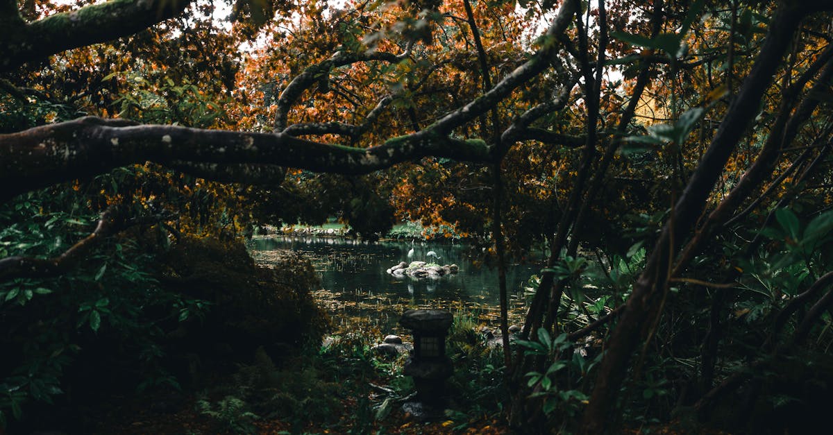 Effective Use of Hardscape in Commercial Landscape Design