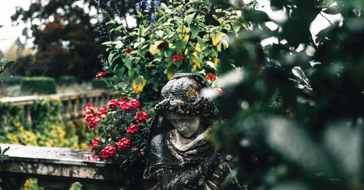 Innovative Ideas for Revamping Your Outdoor Space in Victoria