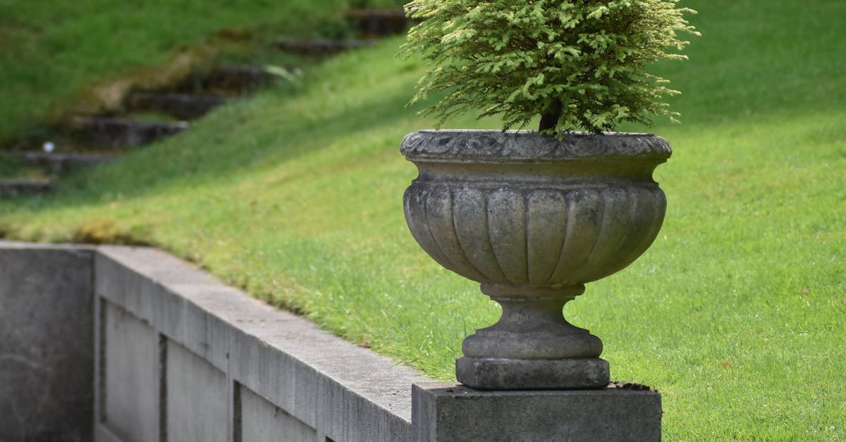 Innovative Irrigation Solutions for Sustainable Landscapes