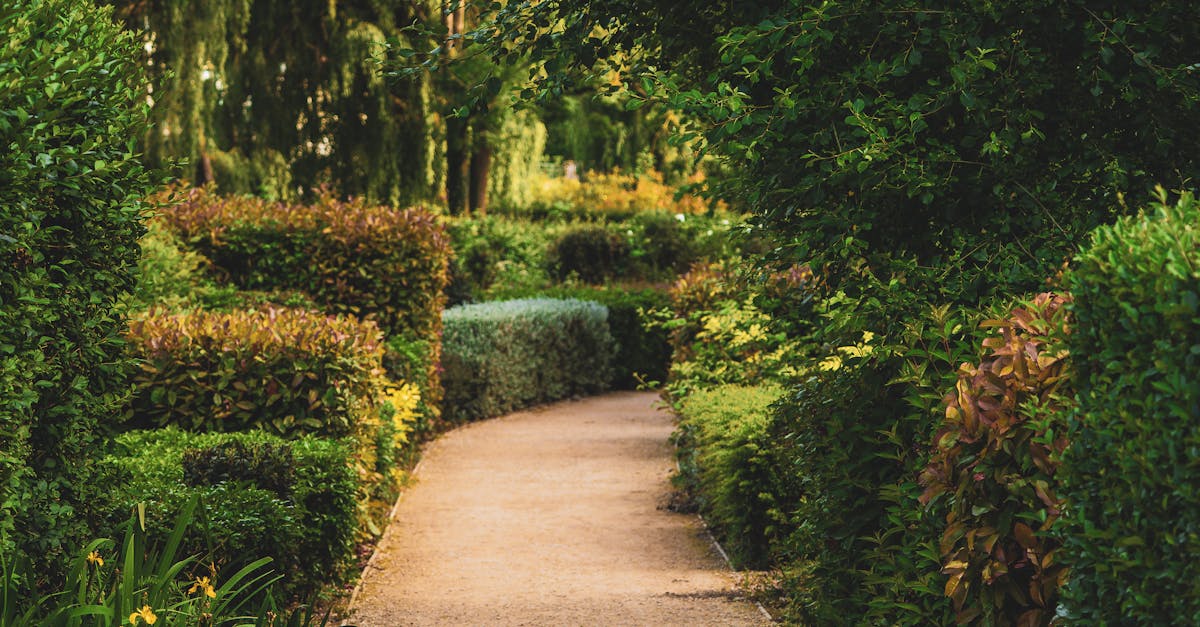 Integrated Pest Management Strategies for Home Gardens