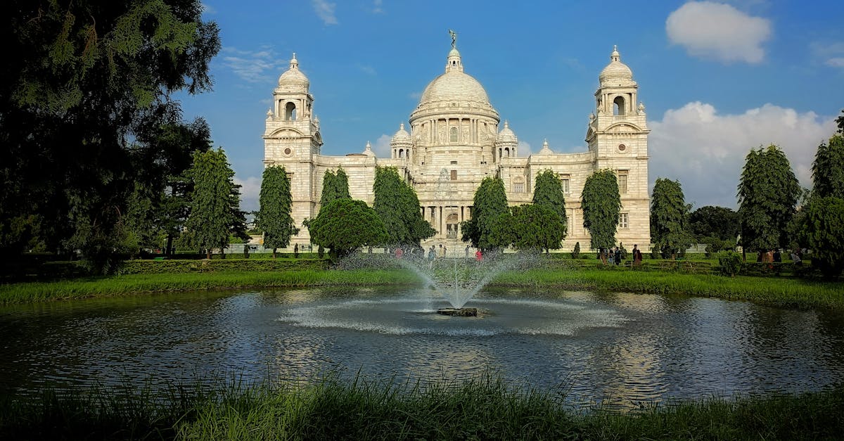 Low-Maintenance Garden Solutions for Busy Households in Victoria