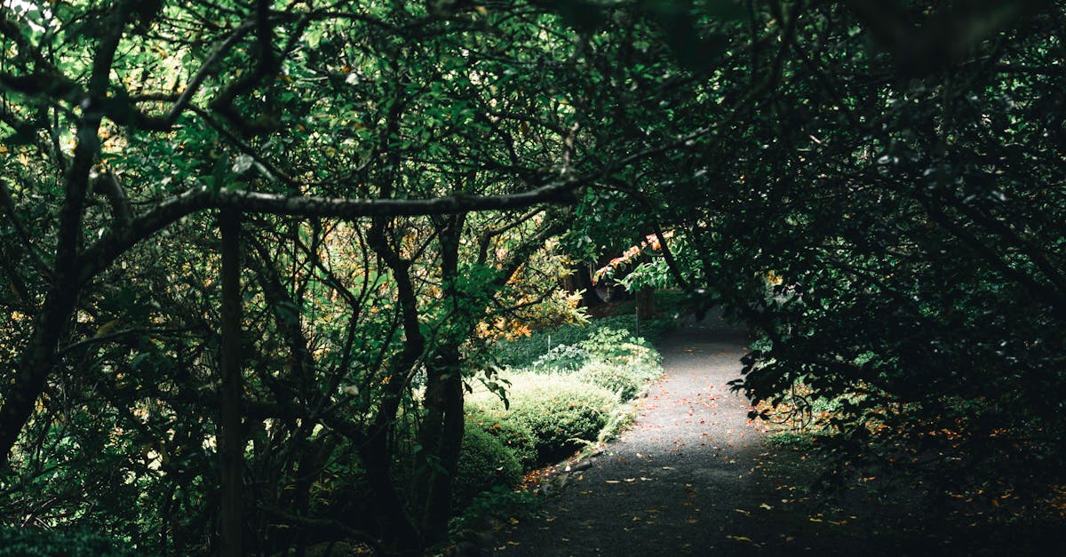 Native Plant Groupings for Aesthetic and Ecological Impact