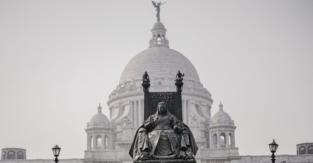 Seasonal Fertilisation: Timing and Best Practices