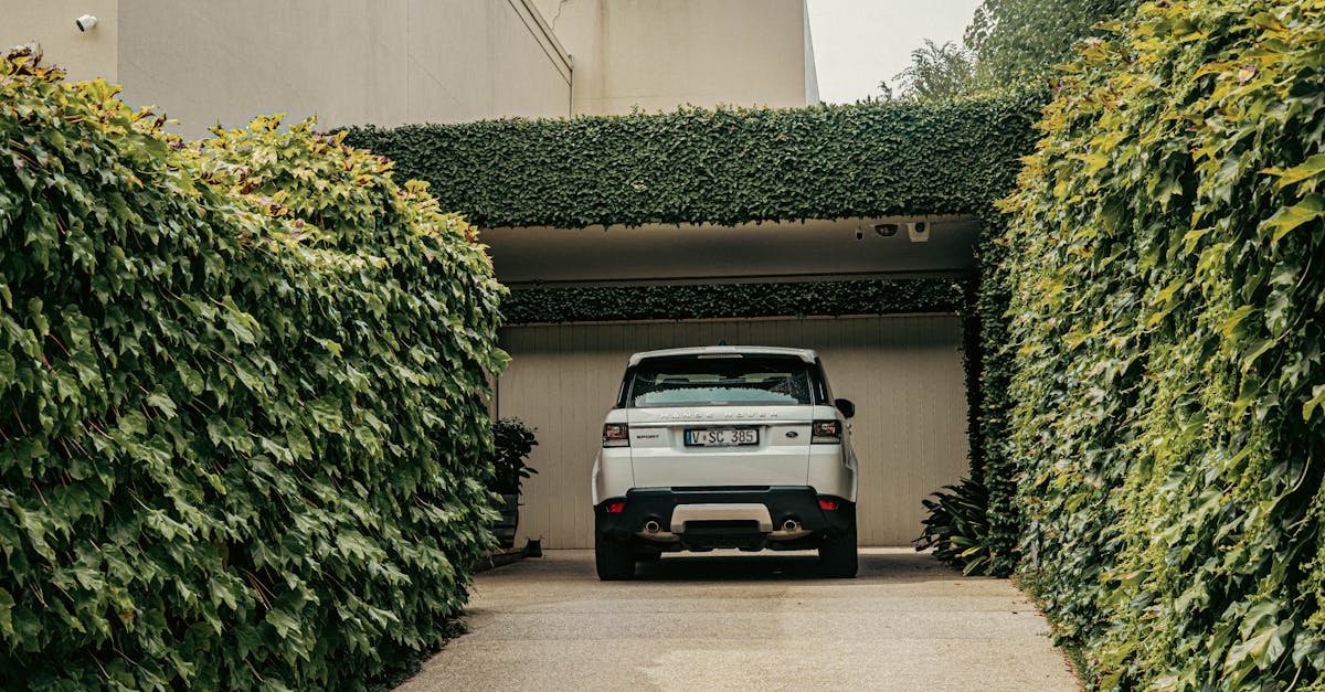 Shaping Your Shrubs: Techniques for Professional Results