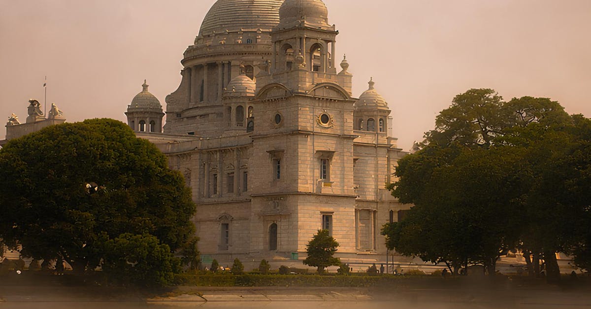 Techniques for Proper Soil Aeration in Australian Gardens