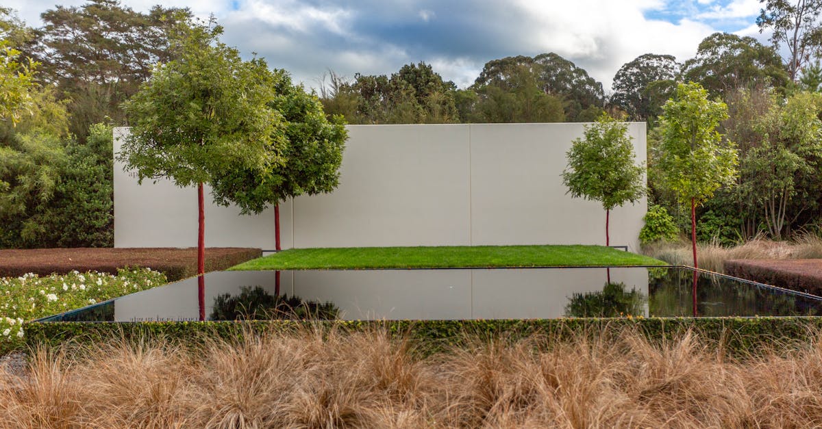 The Benefits of Water-Efficient Plants for Australian Gardens