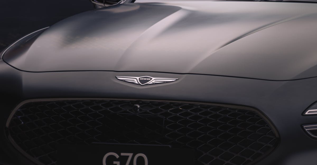 The Role of Beneficial Insects in Pest Management