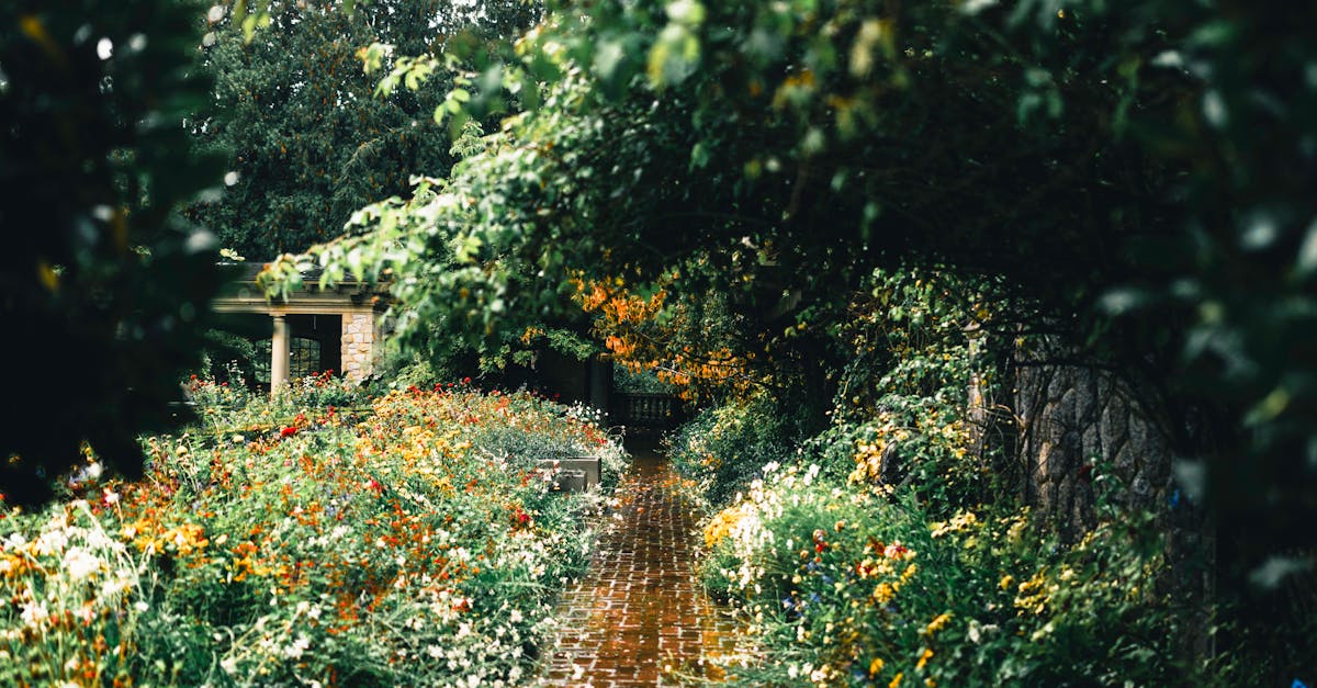 The Role of Hardscaping in Garden Renovation Design