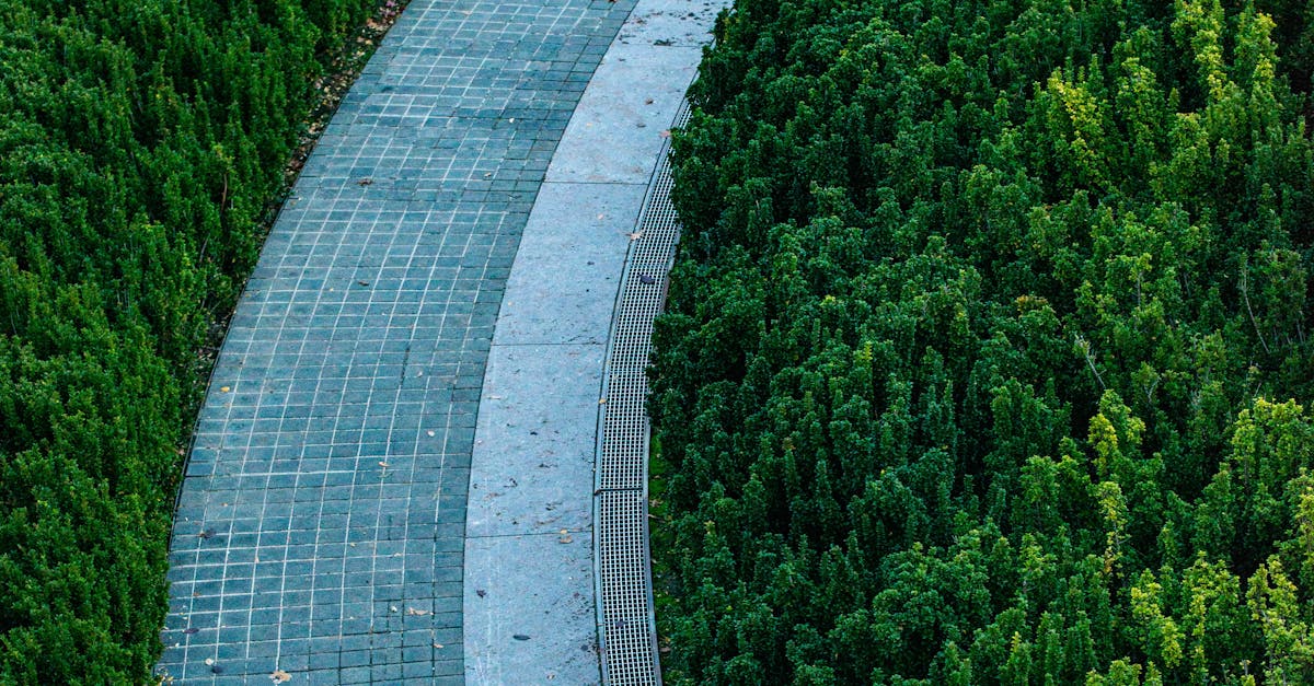 The Role of Indigenous Plants in Sustainable Landscapes