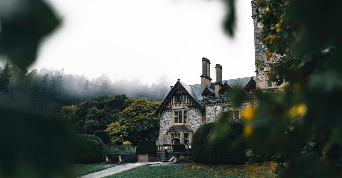 The Role of Native Plants in Commercial Outdoor Spaces