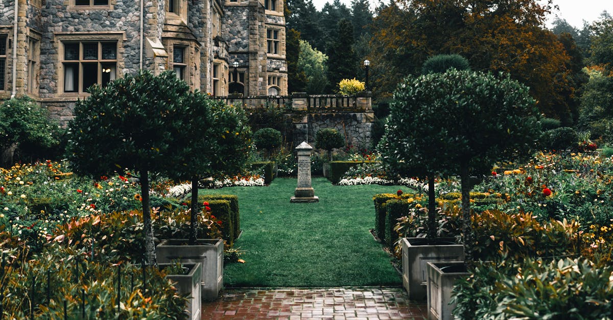 The Role of Vertical Gardens in Eco-Friendly Landscaping