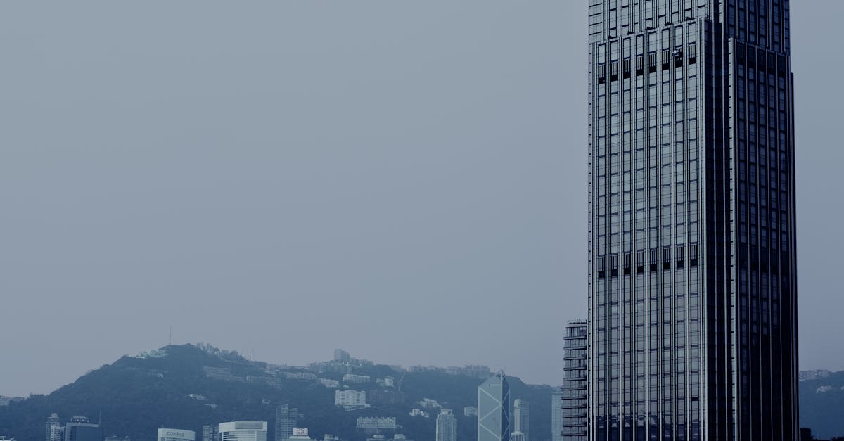 The Role of Worms in Maintaining Soil Fertility