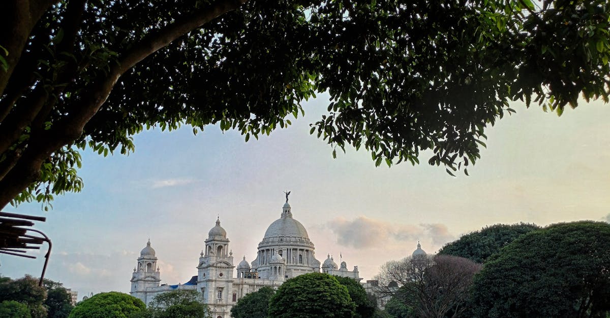 Timing Your Trimming: When to Prune Different Plants