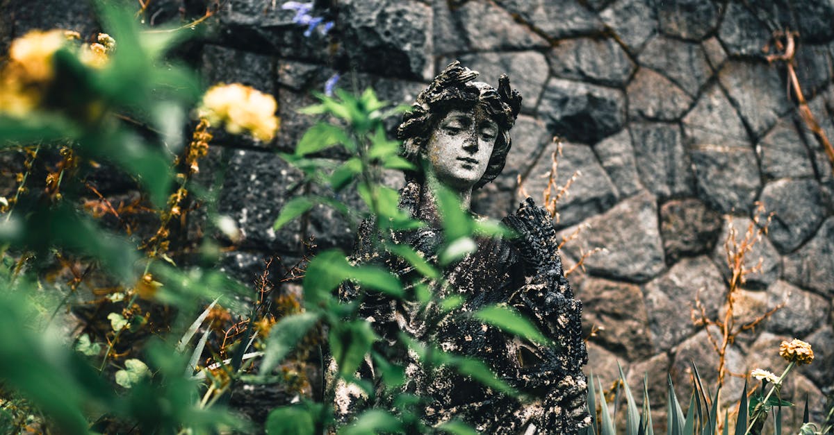 Transforming Your Backyard: A Comprehensive Guide to Garden Renovation in Victoria