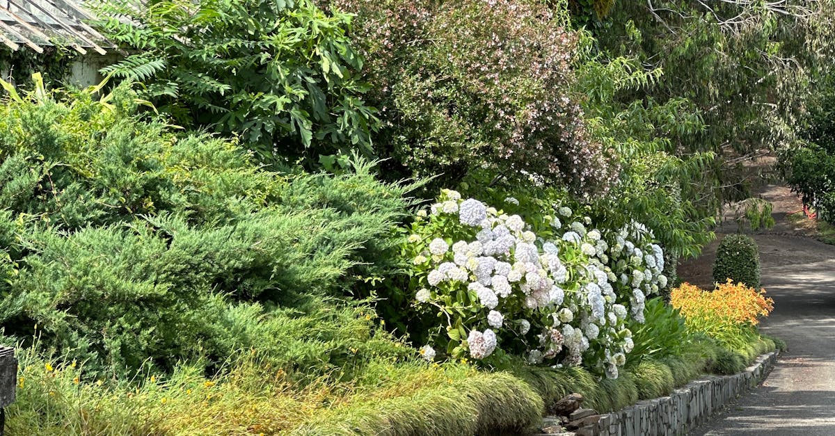 Vertical Gardening Techniques for Local Climatic Conditions