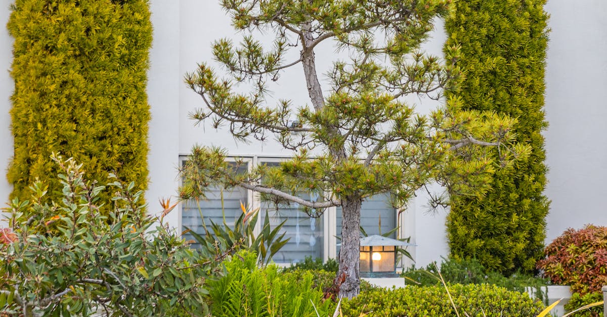 Water-Sensitive Urban Design Strategies for Victoria